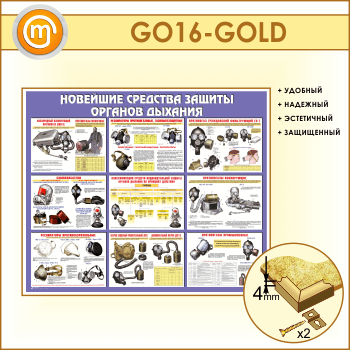       (GO-16-GOLD)